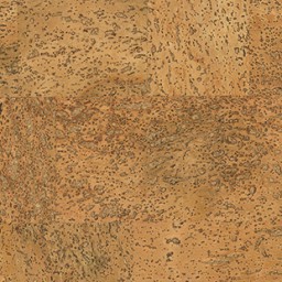 Kork | Wand | 07