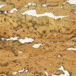 Kork | Wand | 34